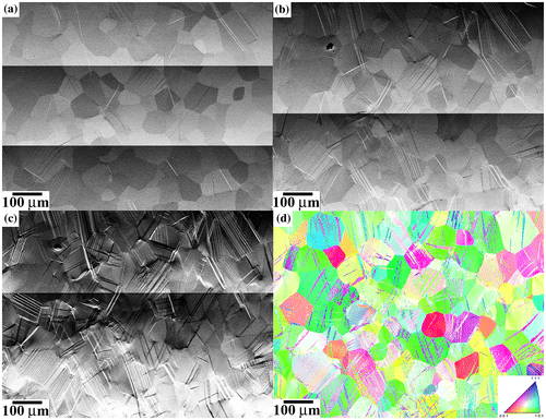 Figure 5. BSE-SEM images of the evolution of {332}〈113〉 twin structure upon deformation in the LG sample. (a) 380 MPa/ε: 0.3%; (b) 430 MPa/ε: 0.9%; (c) 530 MPa/ε: 8.8%. (d) EBSD map along tensile direction. Sample deformed to 530 MPa/ε: 8.8%.