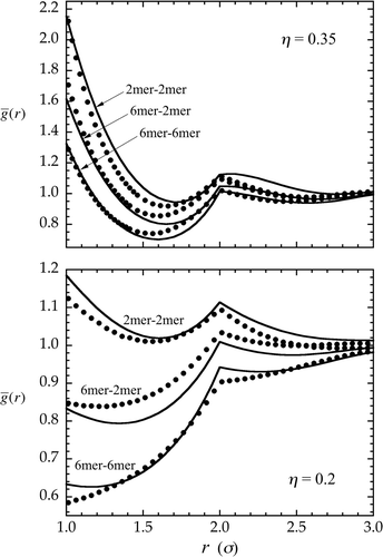 Figure 5. Average intermolecular site–site distribution functions () for a 6mer–2mer tangent hard-sphere chain mixture as calculated from CIE theory (lines) and MC simulation (symbols). Results are given at moderate density (η  = 0.2) in the lower panel, and at high density (η  = 0.35) in the upper panel, both cases corresponding to a composition of x 2mer  = x 6mer  = 0.5. Shown, respectively from top to bottom (at each density), are the distributions, , , and . (See the first paragraph of Section 3 for additional model details.)