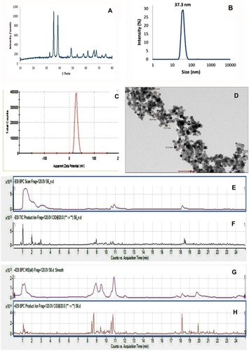 Figure 1 Characterization of the prepared nanoparticles and chemical analysis of PJ. (A) X-ray powder diffraction patterns of CuO-NPs. (B and C) Dynamic light scattering analysis of CuO-NPs showed: (B) Particle size with 37 nm and (C) Zeta potential 28.2 mV. (D) High-resolution transmission electron microscope image of CuO-NPs showed spherical NPs with particle size in the range of 28.8–45.6 nm. (E and F) UPLC-MS trace base peak (BPC) and production chromatograms of metabolite peaks detected in pomegranate juice negative mode. (G and H) Positive mode.