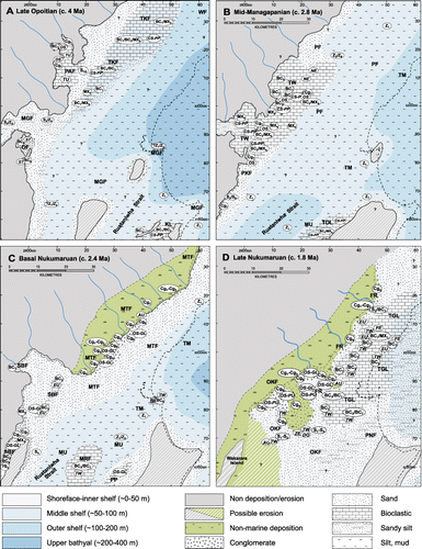 Figure 5 Simplified palaeogeographic maps for the (A) late Opoitian (c. 4 Ma), (B) mid-Mangapanian (c. 2.8 Ma), (C) base Nukumaruan (2.4 Ma) and (D) late Nukumaruan (c. 1.8 Ma), illustrating the general distribution of macrofaunal associations, water depths and palaeoenvironments as determined from outcropping strata of that age. The base Nukumaruan (C) and late Nukumaruan (D) maps are drawn for late LST-early TST time with the lowstand shoreline near its maximum progradational extent. The modern shoreline is approximated by the dotted black line. Map A: KL, Kairakau Limestone; MGF, Mangatoro Formation; OF, Omahaki Formation; PAF, Pakaututu Formation; TKF, Titiokura Formation; WF, Wairoa Formation. Map B: MU, Makaretu Mudstone; PF, Pohue Formation; PKF, Puketitiri Formation; TM, Taradale Mudstone; TOL, Te Onepu Limestone; TW, Te Waka Formation. Map C: MRF, Mason Ridge Formation; MTF, Matahorua Formation; MU, Makaretu Mudstone; PP, Pakipaki Limestone; SBF, Sentry Box Formation; SI, Scinde Island Formation; TM, Taradale Mudstone. Map D: FR, Flag Range Conglomerate Member; OKF, Okauawa Formation; PNF, undifferentiated Petane Formation; TGL, Tangoio Limestone Member. Lithofacies codes are summarised in Table 1 and biofacies in Table 2 (see also Bland Citation2006). For detailed descriptions of the lithostratigraphic units refer to Beu (Citation1995) and Bland et al. (Citation2007).