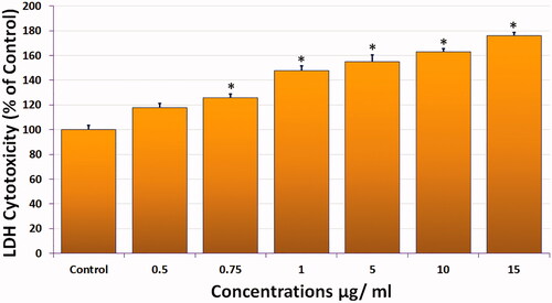 Figure 3. Cytotoxicity of compound 1 measured by LDH release from HeLa cells exposed as indicated for 24 h. (All data are expressed as mean ± SE from three independent experiments). *Significant p < 0.05 compared with corresponding controls.