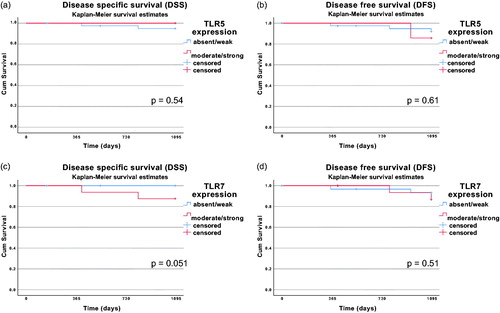 Figure 1. Kaplan–Meier curves with 3-year disease-specific survival (DSS) and 3-year disease-free survival (DFS) for patients with HPV+ BOTSCC stratified for absent/weak vs. medium/strong TLR5 expression (A and B) and absent/weak vs. medium/strong TLR7 expression (C and D). Differences in survival was analyzed with the log-rank test. No differences in survival were observed (TLR5 DSS: p = .54; TLR5 DFS: p = .61; TLR7 DSS: p = .051; TLR7 DFS: p = .51).