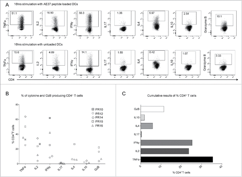 Figure 4. Functional profile of AE37-responsive CD4+ T cells. (A) After 10 d of in vitro stimulation, AE37-expanded CD4+ T cells were restimulated for 16 h with AE37 peptide-loaded DCs and cytokine/GzB production was assessed with intracellular staining. Unloaded DCs were used for determination of background cytokine and GzB production. An example of dot plots from PR16 presents the percentages of cytokine or GzB producing CD4+ T cells. (B) Data summary from for all patients analyzed. Blood samples were collected during (PR10, PR12, PR16) and post (PR14, PR15) vaccinations. (C) Cumulative results (%) (Median values) of CD4+ T cells producing the indicated cytokines, from all patients analyzed, are shown.