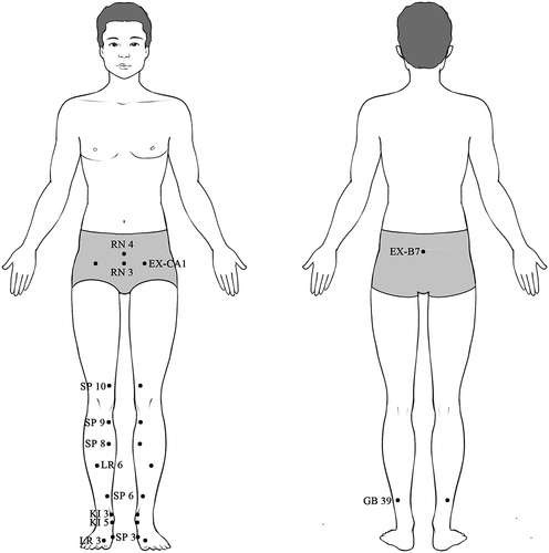 Figure 2 Location of acupoints evaluated in the included studies.