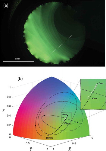 Figure 13. (Colour online) (a) Raw image of a free-standing smectic film of 8CB captured at 0.7X magnification and 40 ms exposure time. (b) The colour coordinates along the cross section (white broken line in (a)) plotted as semi-transparent white dots on the colour quadrant along with the colour-thickness trajectory for α=1.0