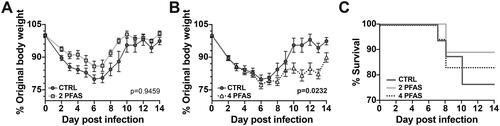 Figure 2. Exposure to the 4 PFAS mixture increased morbidity during influenza A virus infection. Mice were treated with PFAS via the drinking water for 21 days prior to being infected with IAV. Body weight was recorded daily during infection. (A) Graph depicts mean daily body weights of control mice (Day 0-6: n = 16, Day 7: n = 15, Day 8: n = 14, Day 9: n = 7, Day 10-14: n = 6) compared to that of mice treated with the 2 PFAS mixture (Day 0-7: n = 16, Day 8: n = 14, Day 9-14: n = 9). (B) Mean daily body weights of control mice compared to mice exposed to the 4 PFAS mixture (Day 0-6: n = 18, Day 7: n = 17, Day 8: n = 15, Day 9-14: n = 8). A two-way ANOVA was used to determine whether PFAS altered the trajectory of infection associated change in body weight. p-values shown in graphs correspond to treatment*day post-infection effect test. (C) Graph depicts percent survival throughout the 14-day IAV infection. Data shown are means ± SEM.