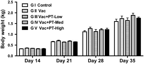 Figure 1. Growth performance of chickens. Body weight of chickens from each group (n = 60 broilers/group, Group I to V) was measured on Day 14, 21, 28, and 35 using a digital balance. Data are expressed as means and SEM. Unless otherwise noted, significance was determined by one-way ANOVA with Tukey’s post hoc test.