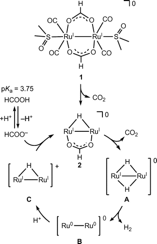 Figure 9. A proposed reaction mechanism for the conversion of HCOOH to H2 and CO2 catalyzed by dinuclear Ru complexes in H2O.