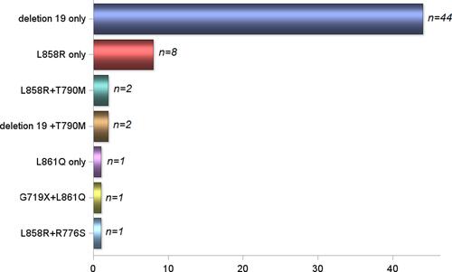 Figure 1 Type of EGFR mutation detected.