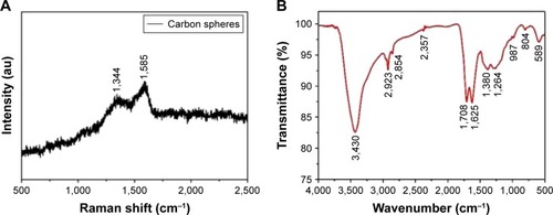 Figure 3 Structural characterization of HCSs. Properties of HCSs analyzed using (A) Raman spectroscopy and (B) FTIR spectroscopy.Abbreviation: HCS, hollow carbon sphere.