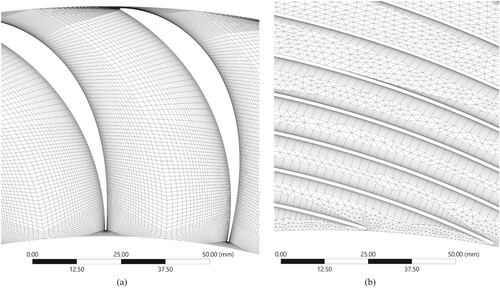 Figure 12. Details of the convergence mesh: (a) blade zone; (b) baffle zone.