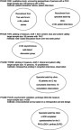 Figure 1 Overview of development and validation study design.