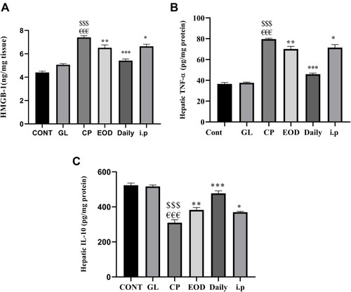 Figure 4 GLM modulates hepatic inflammatory response. Effects of GLM (500 mg/kg/day) on hepatic levels of (A) HMGB-1, (B) TNF-α, and (C) IL-10 in CP-induced liver injury in rats. Data are expressed as means ± SEM. Statistically significant differences when p<0.05 indicated as: $$$compared to control group P<0.001; €€€compared o GL group P<0.001; ***compared to CP group P<0.001; **compared to CP group P<0.01. *compared to CP group P<0.05.