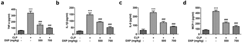 Figure 1. DXP decreases the expressions of inflammatory cytokines in the serum of CLP-induced mice model. (a-d) Expressions of TNF-α, IL-1β, IL-6 and MCP-1 in the serum of mice was detected by ELISA. ***P < 0.001 vs Control; ###P < 0.001 vs CLP.