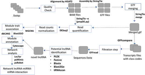 Figure 1. The overall workflow of lncRNA identification and weighted gene co-expression network analysis.