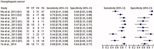 Figure 5. Paired forest plot with the diagnostic test accuracy (sensitivity, specificity and 95% confidence interval) of each unit study for the salivary biomarkers in the diagnosis of oesophageal cancer.