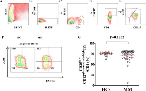 Figure 1. Alteration of Tfh/CD4+ T-cell ratio in patients with MM compared to that in HCs. (A-E) Schematic diagram of the flow cytometry analyses of CD4 + CXCR5 + T cell and CD25lowCD127intermediate-highTfh cells. (F) Flow cytometry analyses of CXCR3 + CCR6−Tfh1 cells, CXCR3−CCR6−Tfh2 cells, and CXCR3−CCR6 + Tfh17 cells. (G) Proportion of CD25lowCD127intermediate-highTfh/CD4+ T-cell in the peripheral blood of HCs and patients with MM (HCs vs MM: 90. 95 ± 0.97% vs 86.48 ± 2.19%, P =  0.1762).