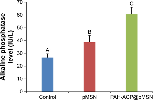 Figure S3 Alkaline phosphatase enzyme activities for unexposed hMSCs, hMSCs exposed to pMSN, and hMSCs exposed to PAH-ACP@pMSN.Notes: Values are means and standard deviations (N=6). Groups that are labeled with different uppercase letters are significantly different (P<0.05).Abbreviations: hMSCs, human bone marrow mesenchymal stem cells; pMSN, expanded-pore mesoporous silica nanoparticles; PAH-ACP@pMSN, poly(allylamine)-stabilized amorphous calcium phosphate-loaded pMSN; IU, international unit.