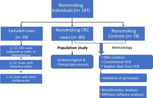 Figure 1 Flow chart of the eligible nonsmoking individuals and applied methodology in the study population.