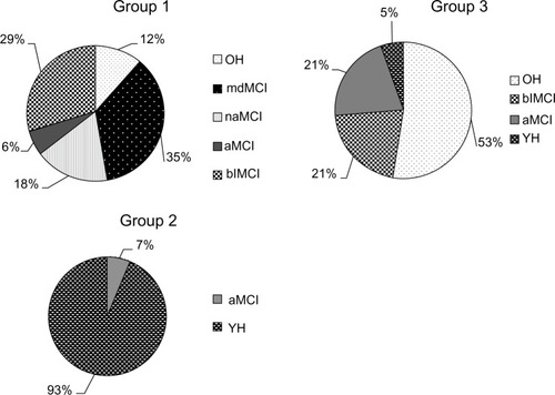 Figure 3 Breakdown by circular diagram of the cognitive profiles of the subjects in each group from the cluster analysis.