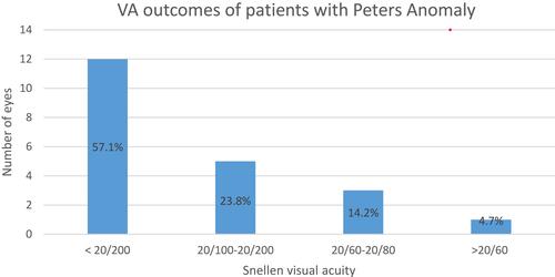 Figure 1 Stratification of visual acuity outcomes of study subjects with Peters anomaly.