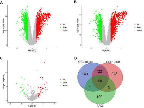 Figure 2 Screening of differentially expressed mRNAs, miRNAs, and ARGs. (A) Volcano plot of differentially expressed mRNAs in GSE10334. Upregulated mRNAs are represented by the red dot, whereas downregulated mRNAs are represented by the green dot. (B) Volcano plot of differentially expressed mRNAs in GSE16134. (C) Volcano plot of differentially expressed miRNAs in GSE54710. (D) A Venn diagram between GSE10334, GSE16134, and ARGs. The coincident section indicates the 20 differentially expressed genes that are shared across the three series.