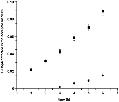 Figure 2. Cumulative amount of l-DOPA that reaches the receptor phase versus time following delivery of LDME solution (50 mg/mL, 37 ± 0.2 °C) at pH 5.8 (•) and pH 6.2 (▪). Values are presented as mean ± SD (n = 6).