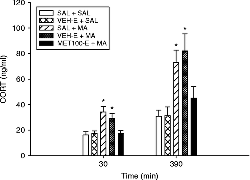 Figure 3.  CORT values following pretreatment with MET in ethanol and drug doses (MA or SAL) 30 or 390 min after the first drug dose on P11. CORT levels, regardless of treatment, were increased at the 390-min time point compared to those at the 30-min time point. At both times, the SAL+MA and the VEH-E+MA groups had elevated CORT values compared to SAL+SAL controls. Eight animals/treatment were used. *p < 0.05 from SAL+SAL and VEHE+SAL control groups.