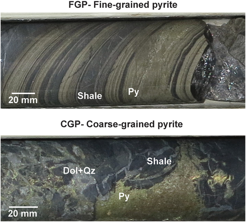 Figure 1. Core photographs showing coarse-grained and fine-grained pyrite macro textures. Annotations: pyrite (py), shale (shale), dolomite (Dol), quartz (qz).