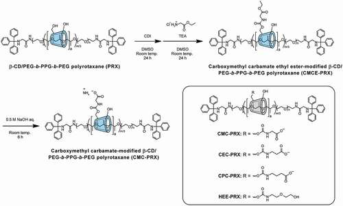 Figure 2. Scheme for the synthesis of carboxymethyl carbamate (CMC)-modified β-CD PRX, and the chemical structures of CMC-PRX, 2-carboxyethyl carbamate-modified β-CD PRX (CEC-PRX), 3-carboxypropyl carbamate-modified β-CD PRX (CPC-PRX), and 2-(2-hydroxyethoxy)ethyl carbamate-modified β-CD PRX (HEE-PRX)