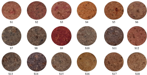 Figure 4. Visible appearance of raw PBM patties incorporated with natural pigments.