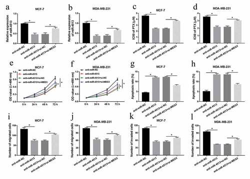 Figure 4. The effect of miR-4513 inhibitor on cell behaviors and the IC50 of PTX was abolished by MEG3 deletion in breast cancer cells