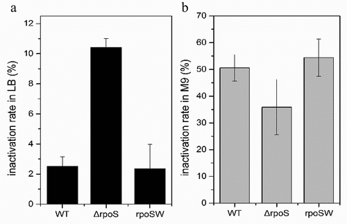 Figure 7. Desiccation tolerance of the wild type (WT), rpoS null mutant strains ΔrpoS and complementation strains rpoSW on (a) LB and (b) M9 medium