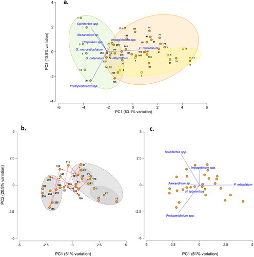 Figure 4. Principal component analysis of dinoflagellate cyst count data (a), Inshore (MCS3-T2) depth samples (green) ordinated to the left, largely separated from offshore surface (MCS1-T6, yellow) and deep samples (GC02-S1, orange) positioned to the right of the x-axis (PC1). Species vectors indicated an inshore community strongly influenced by Spiniferites and Protoperidinium spp., and Protoceratium reticulatum offshore. PCA applied exclusively to the offshore long core GC02-S1 (b) placed the lower and upper core sections into coherent groups. Mid core instability was characterised by cyclic oscillations (arrows) in response to changes in abundance of dominant genera, as represented by vectors in (c).