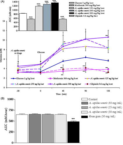 Figure 5. (A). Lack of in vivo modulatory postprandial antihyperglycaemic effects of A. capillus-veneris AE (mg/kg b.wt) on oral glucose tolerance over 165 min and AUC in normoglycaemic overnight fasting rats. **p < 0.01 and ***p < 0.001 compared to control untreated animals, as determined by ANOVA followed by Dunnett’s post-test. (B). Lack of modulatory in vitro effects of A. capillus-veneris AE (mg/mL) on the incremental AUC of 24-h glucose movement. ***p < 0.001 compared to control (drug-free or plant-free) incubations, as determined by ANOVA followed by Dunnett’s post-test.
