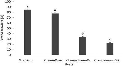 Figure 1. Percentage of ‘stricta’ lineage crawlers of D. opuntiae that settled on different Opuntia species. Bars (mean ± SE) annotated with the same letter do not differ significantly (P > 0.05). L – Limpopo lineage, K – Kenyan lineage.