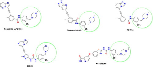 Figure 1. Representative examples of potent BCR-ABLT315I inhibitors bearing 4-((4-methyl(ethyl)piperazin-1-yl) methyl)-3-(trifluoromethyl)phenyl moiety.