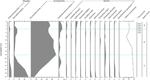 Figure 7. Stratigraphic plot of diatom change for Lake Humuhumu. Taxa with percentages >2% shown. Zones are diagnostic, based on major taxa changes described in the text.
