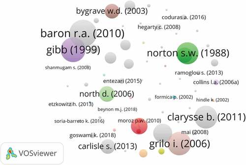 Figure 7. Most influential authors.