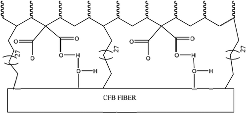 Figure 4. Hypothetical interaction of CFB fiber/C31-alkanes and polypropylene Maleic anhydride (PPMA)/polypropylene.