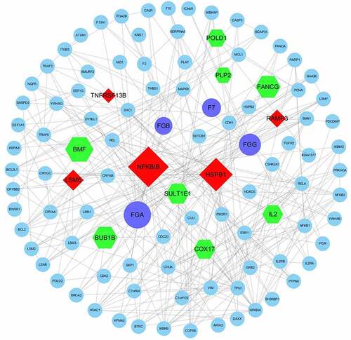 Figure 4. PPI sub-network obtained by Cytoscape. Purple – DEPs in the EC pathway verified by ELISA; red – upregulated DEGs; green – downregulated DEGs; blue – other proteins; lines – relationships