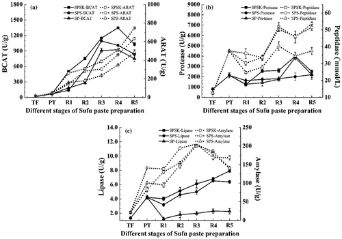 Figure 6. Dynamic changes of enzyme activity during different stages of Sufu paste preparation. (a) Branched-chain amino acid aminotransferase (BCAT) and aromatic amino acid aminotransferase (ARAT); (b) protease and peptidase; (c) lipase and α-amylase. SPSK: Sufu paste fermented with starter and α-ketoglutarate; SPS: Sufu paste fermented with starter but without α-ketoglutarate; SP: Sufu paste fermented without mixed starter or α-ketoglutarate; TF: Tofu to make pehtze; PT: pehtze fermented for 48–60 h; R1–R5: Sufu paste post-ripening for 3, 6, 9, 12, and 15 days, respectively. The p-values were calculated from ANOVA using origin 8.0 software. Error bars indicate standard deviation.