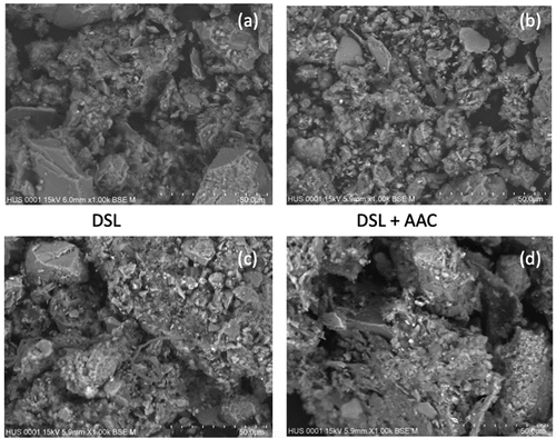 Figure 7. SEM images (magnification of 1000X) of raw and blended dredged sludge from lake. DSL: Dredged sludge from lake (A), DSL + AAC: autoclaved aerated concrete 1:7 (B); DSL + SP: stone powder 1:3 (C) and DSL + PSP: peanut shell powders 1:7 (D).