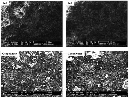 Figure 6. SEM analysis of soil and geopolymers at 500× and 1000× magnification