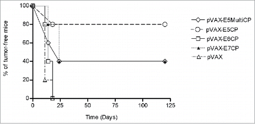 Figure 4. Kaplan-Meier analysis of vaccinated animals. Data are presented as time-to tumor development and statistical analysis performed as described in Methods. Differences among curves are statistically significant p < 0,0075.