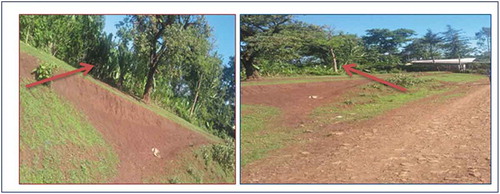 Figure 9. Sacred songo place converted into farming fields due to the unplanned rural infrastructural development (rural road construction) (photo taken by Y.Maru).