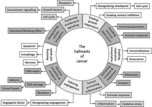 Figure 2. The hallmarks of cancer taxonomy. The circle represents the main 10 cancer hallmarks and the boxes indicate a subdivision of hallmarks into cellular processes. Adapted from Baker et al. (Citation2017) and Hanahan and Weinberg (Citation2011).