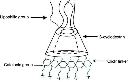 Figure 4 Schematic illustration of a Cyclodextrin structure.