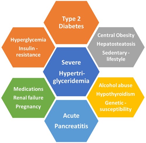 Figure 1 Intertwined factors contributing to hypertriglyceridemia-related pancreatitis in type 2 diabetes.