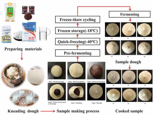 Figure 1. Production flow chart of pre-fermented red bean steamed buns.